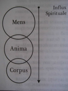 1160 1