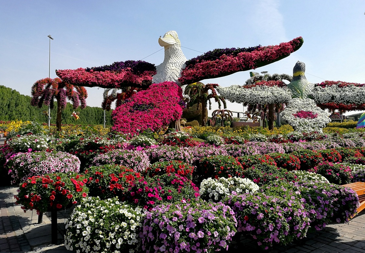 emiraty26