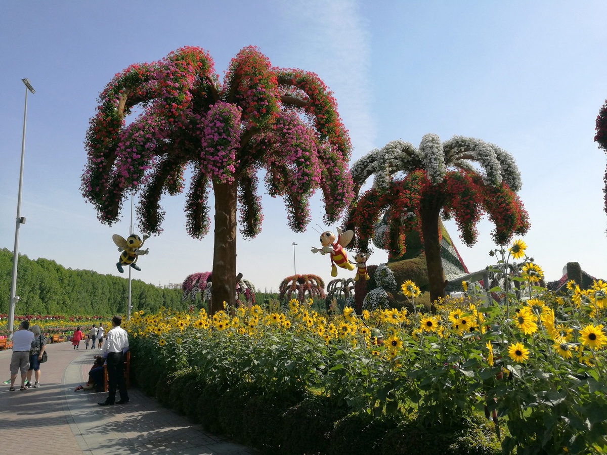 emiraty27