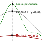 1305 3