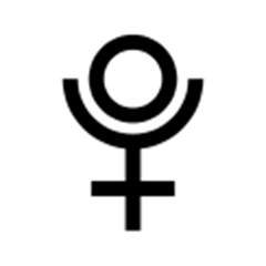 daragan tranzit6