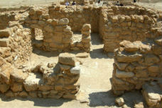 IsraelS 91