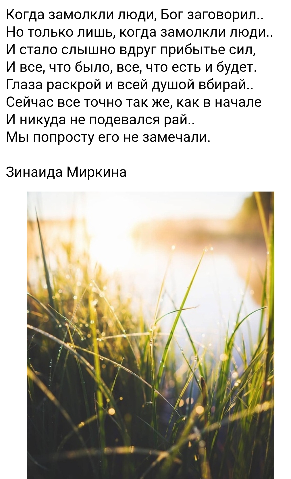 Scr