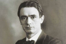 steiner1
